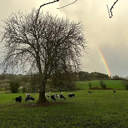 Chestnut View *