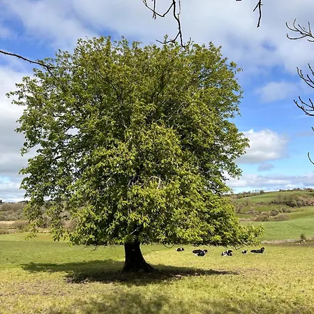 Chestnut View * Skibbereen
